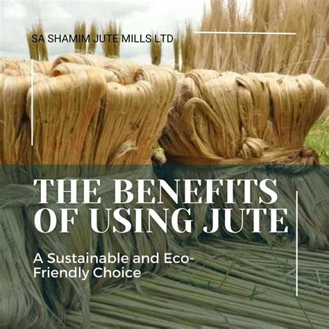 Jute: Unlocking its Potential for Sustainable Bio-Based Materials and Innovative Textile Applications!